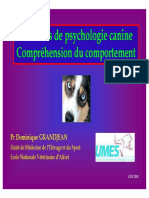 Psychologie Canine Et Comportement