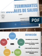 Determinantes de Salud