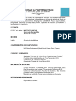 Modelo de CV Avanzado