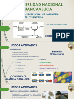 Lodos Activados