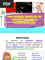 Proteínas - Niveles 2 Ok