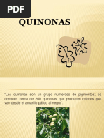 Quinonas Exposición