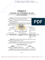 Class 11 Anatomy of Flowering Plants Notes