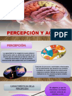 PERCEPCIÓN-Y-AGNOSIAS-final 1