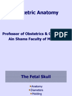 Obstetric Anatomy: Professor of Obstetrics & Gynecology Ain Shams Faculty of Medicine