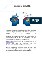 10 Principios Básico de La PNL