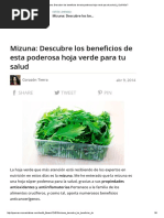 Mizuna - Descubre Los Beneficios de Esta Poderosa Hoja Verde para Tu Salud - ¿Qué Más