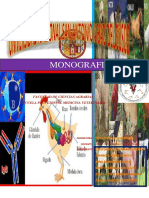 Monografia Del Reconocimiento de Órganos Linfoides en Aves