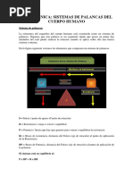 Biomecanica - Sistemas de Palancas Del Cuerpo Humano PDF