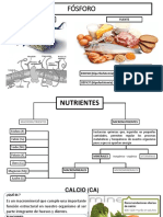 Macrominerales