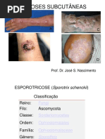 Aula 4 Micoses Subcutanea PDF