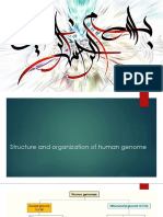 Structure and Organization of Human Genome