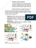 Ecosistema y Factores Bióticos