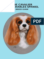 The Cavalier King Charles Spaniel: Breed Guide