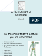 SP304 Lecture 2: Sensation: Week 7