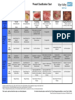 Wound Classification Chart 141