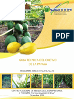 Guia Cultivo Papaya