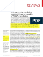 M6a Rna Methylation