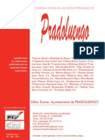 Pradoluengo 2010 (3-20)