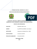 Calidad Del Aire en El Campus de Universidad Nacional Agraria de La Selva Mediante Liquenes Como