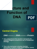 Structure and Function of DNA..