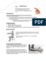 Evaluación Muscular