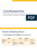 Coordination Biology