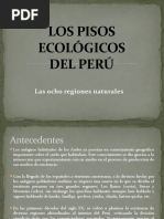 Los Pisos Ecológicos Del Perú