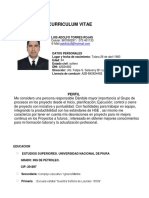 CV Luis Torres