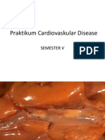 Praktikum Cardiovaskular Disease