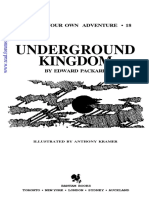 Choose Your Own Adventure (Underground Kingdom) PDF