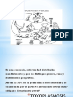 Tema 17 Toxoplasmosis