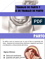 Mecanismo de Trabajo de Parto 