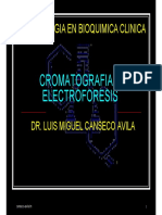 Cromatografia y Electroforesis 