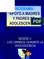 Adolescencia Problemas