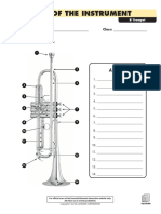 Parts of The Instrument: Answers