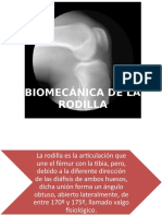 Biomecánica de La Rodilla