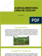 Cadena Agroalimentaria de La Caña de Azúcar