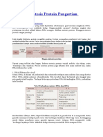 Makalah Sintesis Protein Pengertian Mekanisme