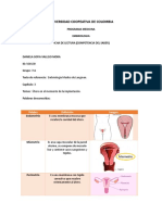 Ficha de Lectura 4