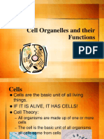 Cell Organelles and Their Functions