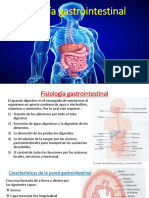 Fisiología Gastrointestinal