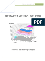 Curso de Remapeamento Ecm2001