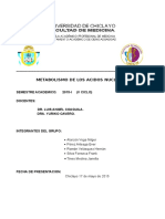 Metabolismo de Acidos Nucleicos