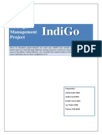 Indigo: Strategic Management Project