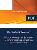 Credit Insurance PPT Basic