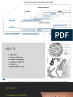 Historia Natural Del Dengue