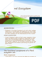 Pond Ecosystem