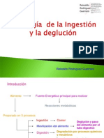 Fisiologia de La Ingestion y Deglucion