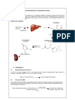 Determinacion de Creatinina en Suero